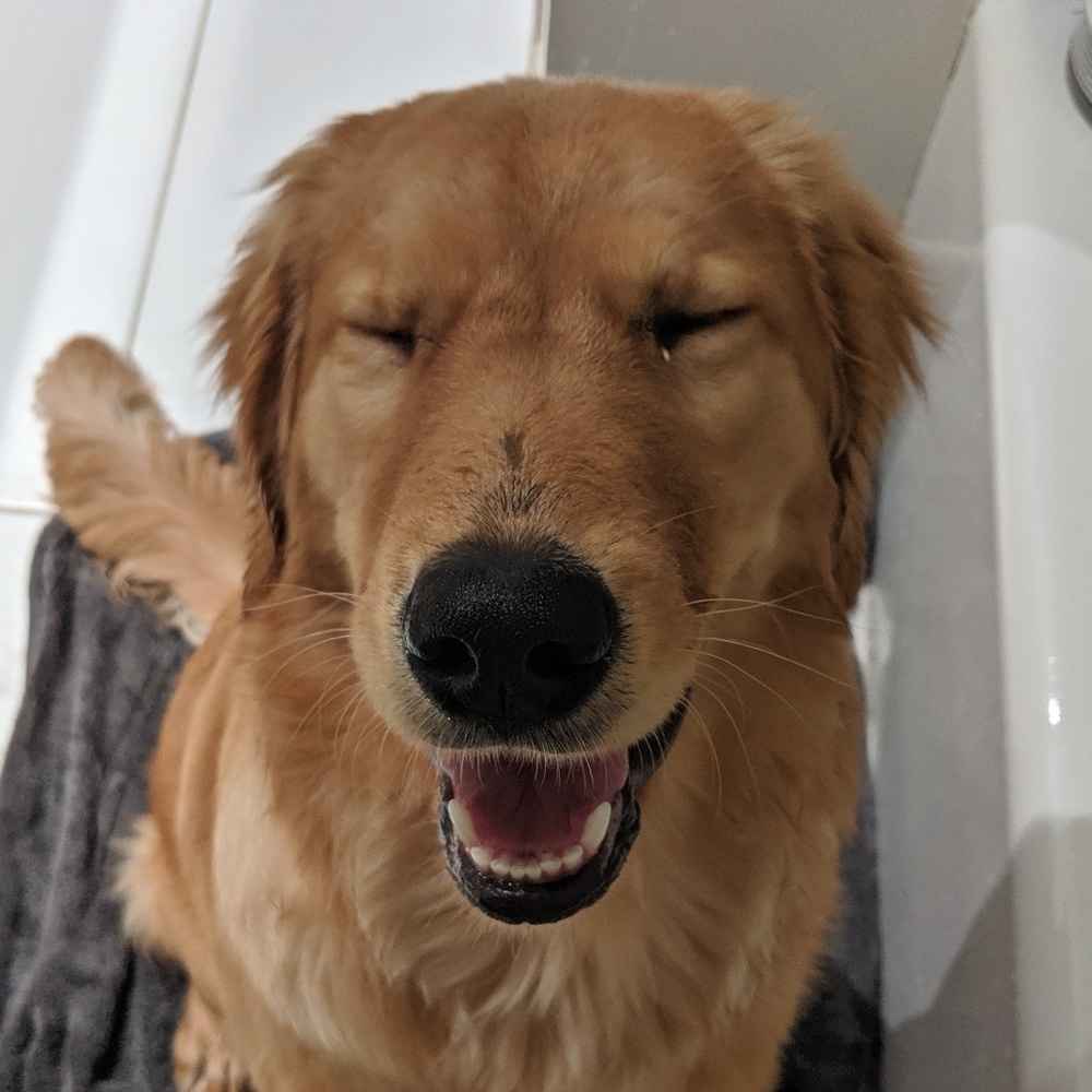 Meet your Posher, Ariel